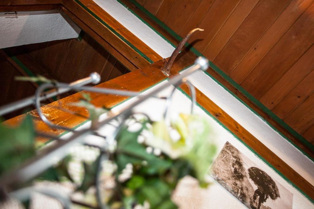 Alpenherz By Holidayflats24 Chalet Saalbach
